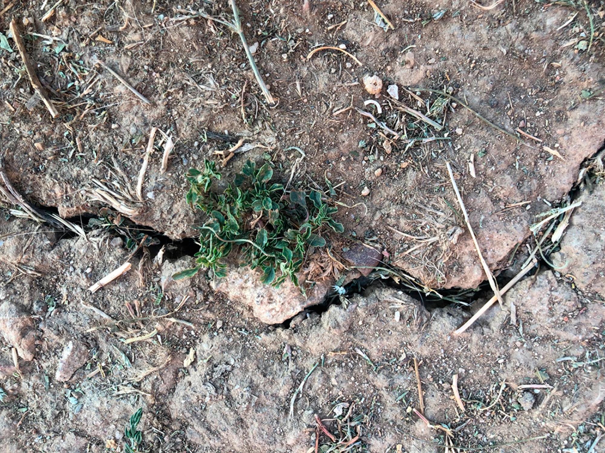 Campo de cuidados julio 2023